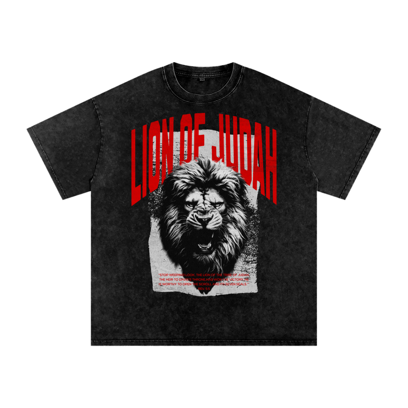 Lion of Judah - Snow Washed Oversized Cotton T-Shirt