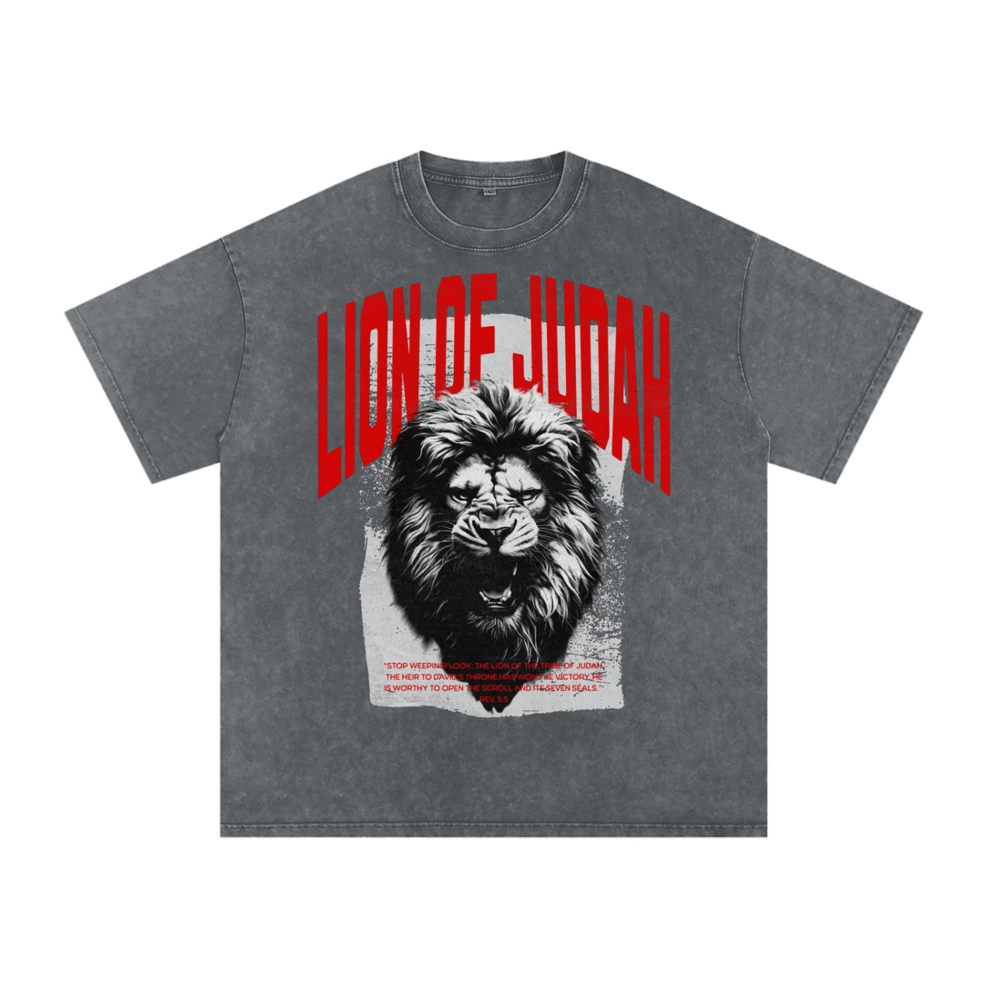 Lion of Judah - Snow Washed Oversized Cotton T-Shirt